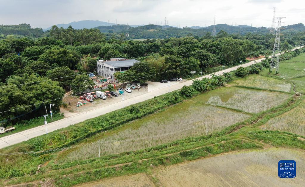 永利线上现金